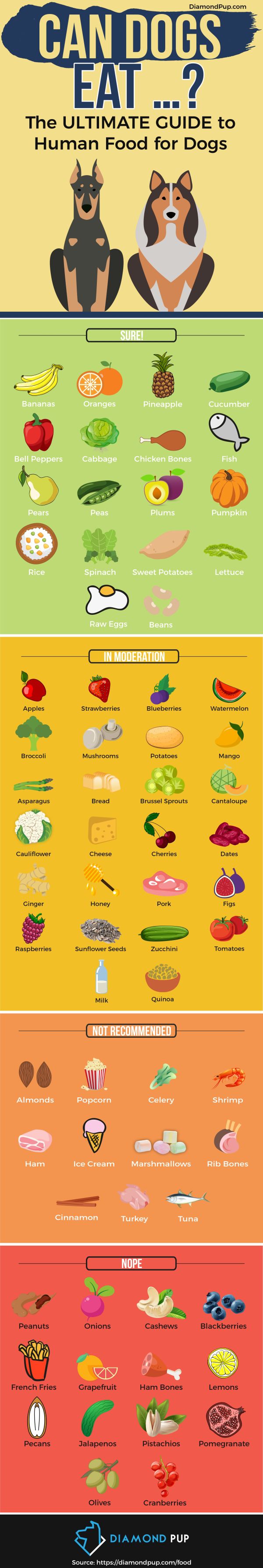 Human Foods You Can Feed Your Dog Infographic 