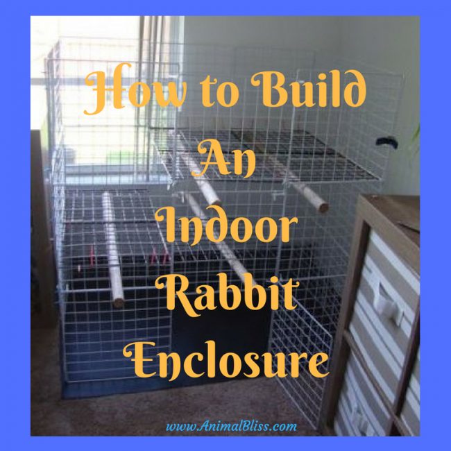 How to Build An Indoor Rabbit Enclosure - DIY Bunny Hutch