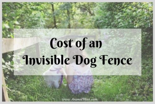 dog watch fence cost