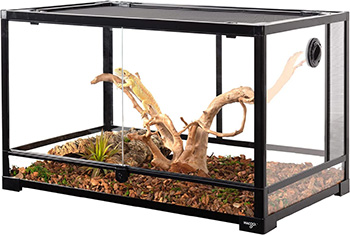 What Is The Best Size Tank For A Ball Python? Terrarium 101