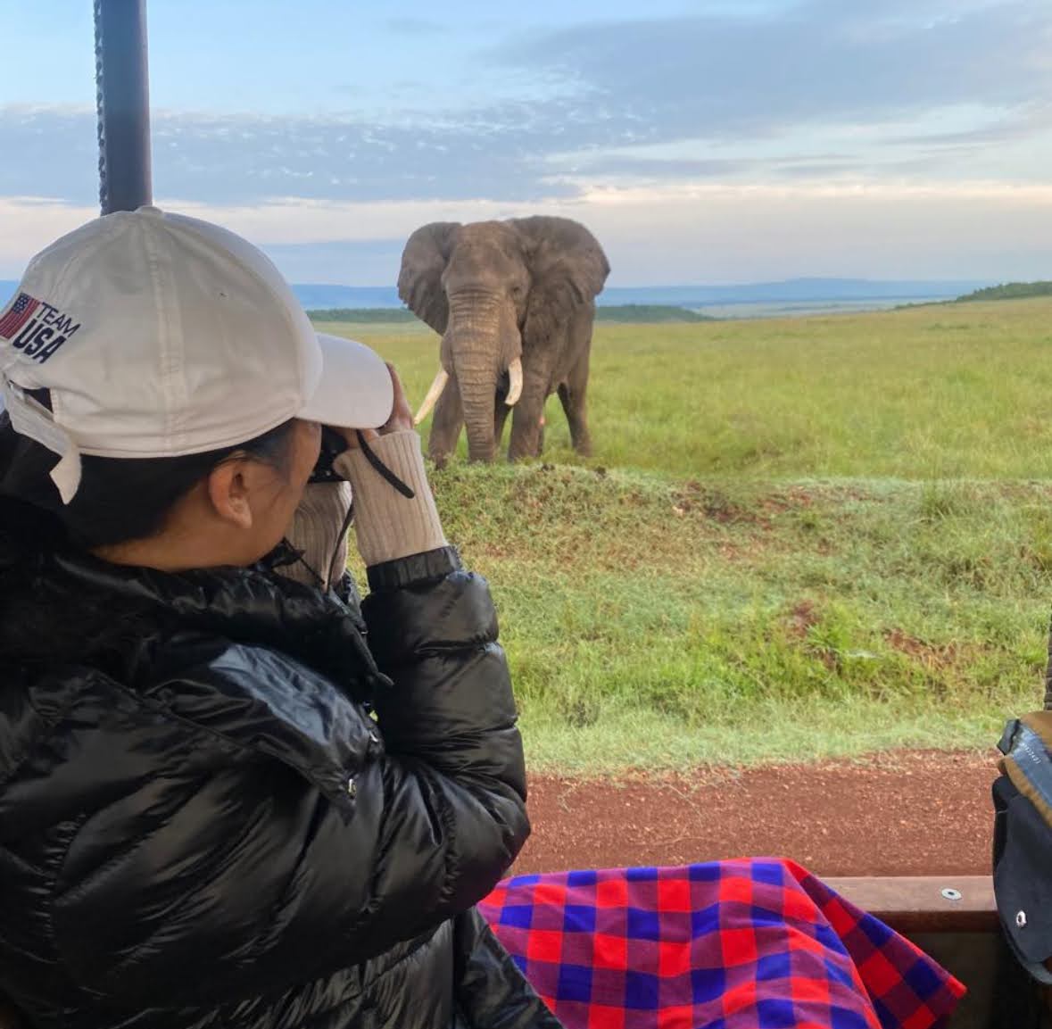 Elephants at Amboseli National Park in Kenya