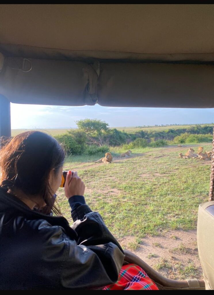 Lions in the Mara